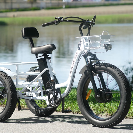 Trike without accessories installed